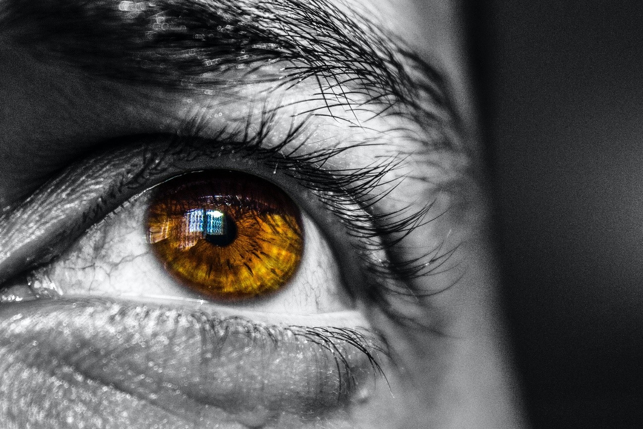 ojo de una persona