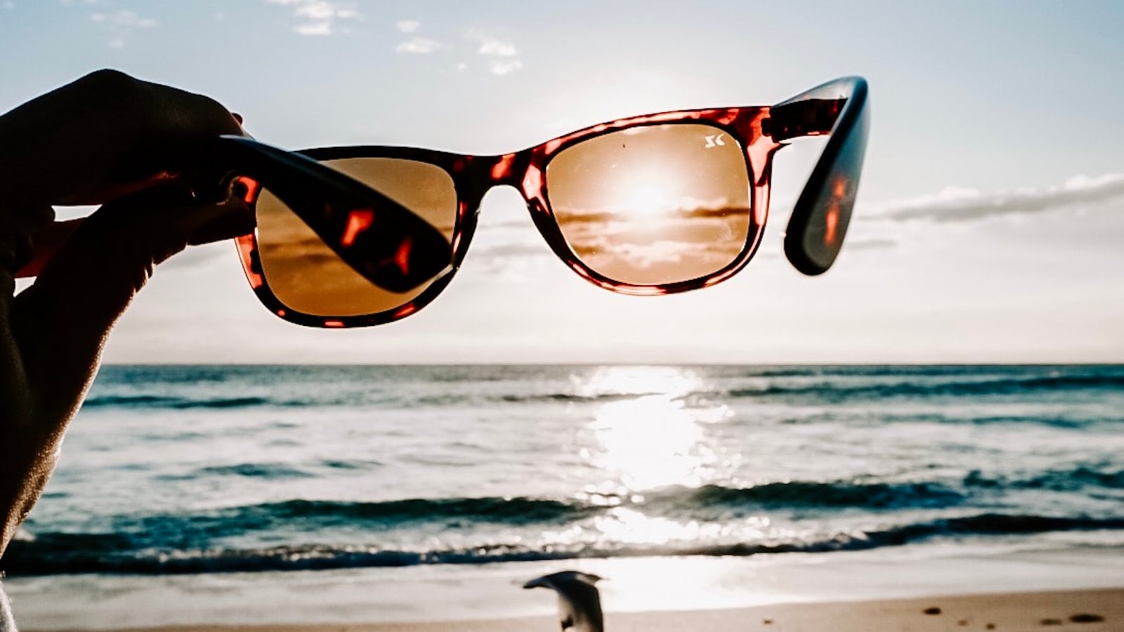 mejores marcas de gafas polarizadas
