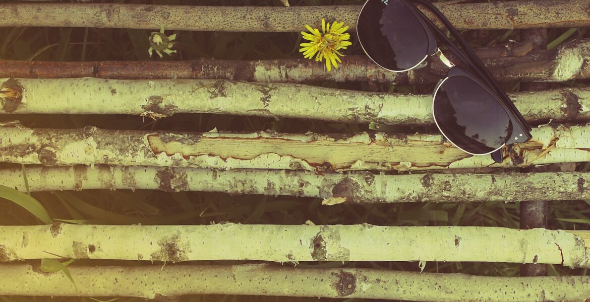Gafas de sol Ray-Ban estilo Wayfarer sobre madera