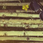 Gafas de sol Ray-Ban estilo Wayfarer sobre madera