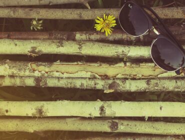 Gafas de sol Ray-Ban estilo Wayfarer sobre madera