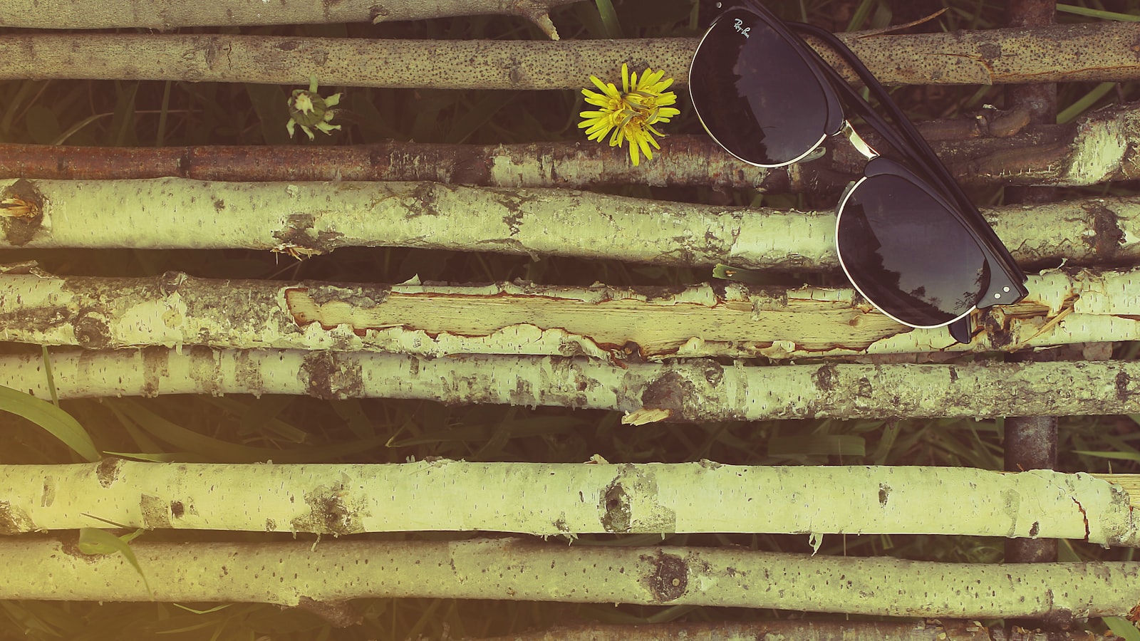 Gafas de sol Ray-Ban estilo Wayfarer sobre madera