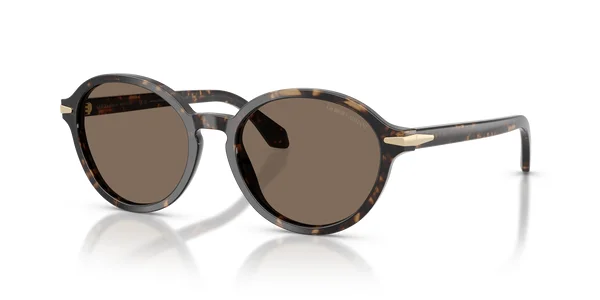 GIORGIO ARMANI AR 8237