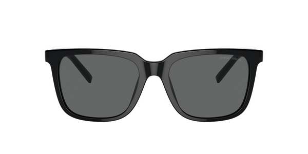 armani-8202u/s 587587 black(dark grey 55*18
