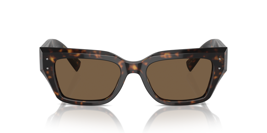 GABBANA-4462/S 502/73 HAVANA(DARK BROWN 52*18, Havana, hi-res image number 1