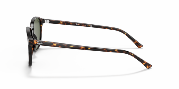 RB-2193 902/31 HAVANA(GREEN 53*18, Tortoise, hi-res 2