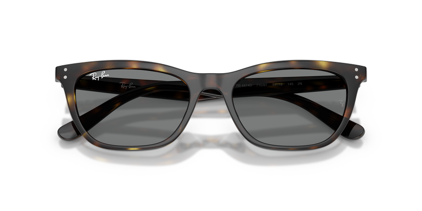 RB-4474D 710/87 HAVANA(DARK GREY 54*18, Havana, hi-res image number 4