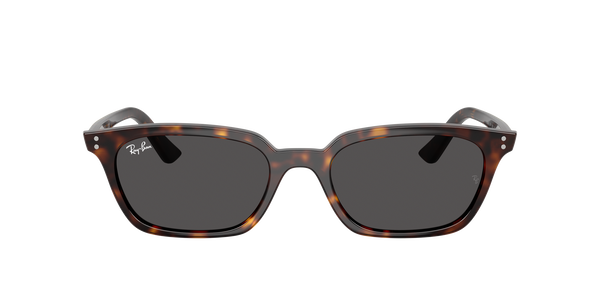 RB-4456 135987 HAVANA(DARK GREY 53*19, Havana, hi-res 1