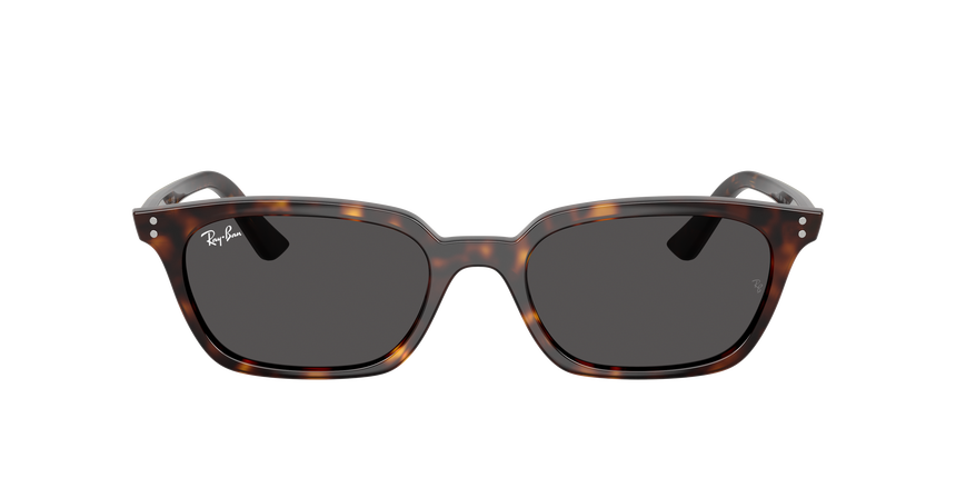 RB-4456 135987 HAVANA(DARK GREY 53*19, Havana, hi-res image number 1