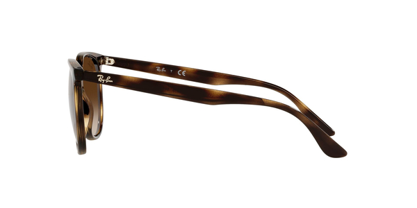 RB-4378 710/13 HAVANA(GRADIENT BROWN 54*16, Havana, hi-res 2