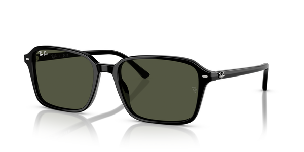 ray-ban raimond rb 2231