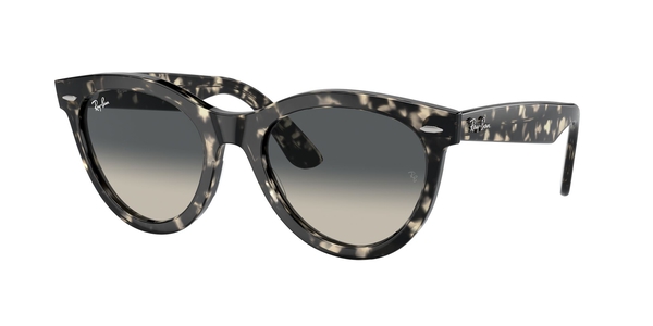 RB-2241 133371 GREY HAVANA(GREY GRADIENT 54*21, Gris havana, hi-res 0