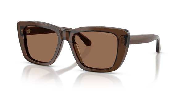 emporio-4246u/s 625173 shiny transparent brown(dark brown 54*17