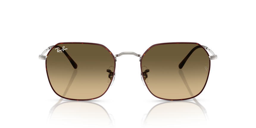RB-3694 92700A HAVANA ON GUNMETAL(BROWN VINTAGE GRADIENT BLACK 53*20, Havana | Gris, hi-res image number 1