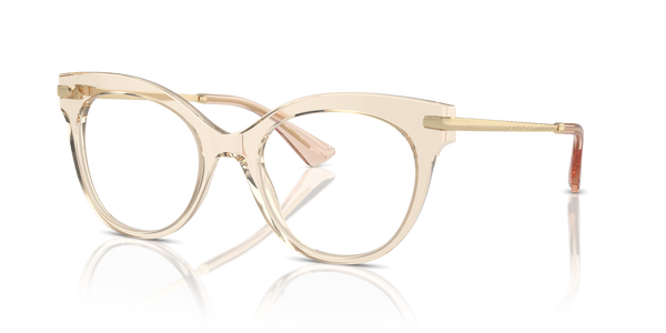 gabbana-3392/g 3432 transparent camel 52*20