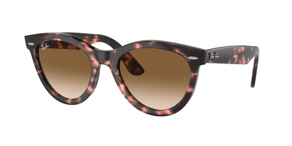 RB-2241 133451 PINK HAVANA(CLEAR GRADIENT BROWN 51*21, Havana rosa, hi-res 0