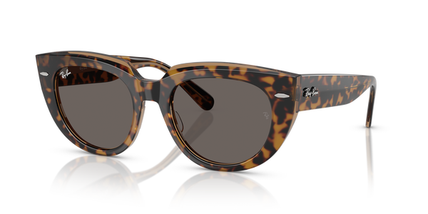 RB-2286 1292B1 HAVANA ON TRANSPARENT BROWN(DARK GREY 49*20, Havana | Marrón transparente, hi-res 0