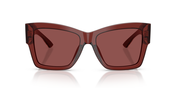 gabbana-4493/s 304575 transparent bordeaux(dark violet 55*17