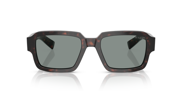 PRADA-02ZS/S 17N20N ROOT TORTOISE(BLUE 52*20, Carey raíz, hi-res 1