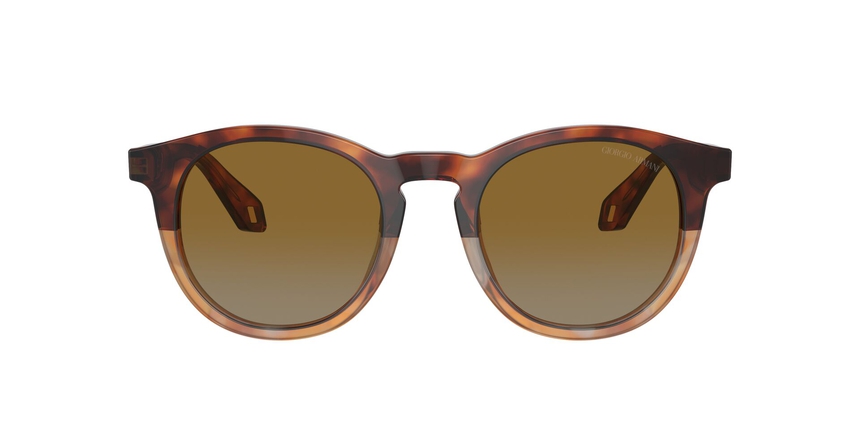 ARMANI-8192/S 6034B2 RED HAVANA/HONEY HAVANA(LIGHT GREY GRADIENT YELLOW 50*21, Havana rojo, hi-res image number 1