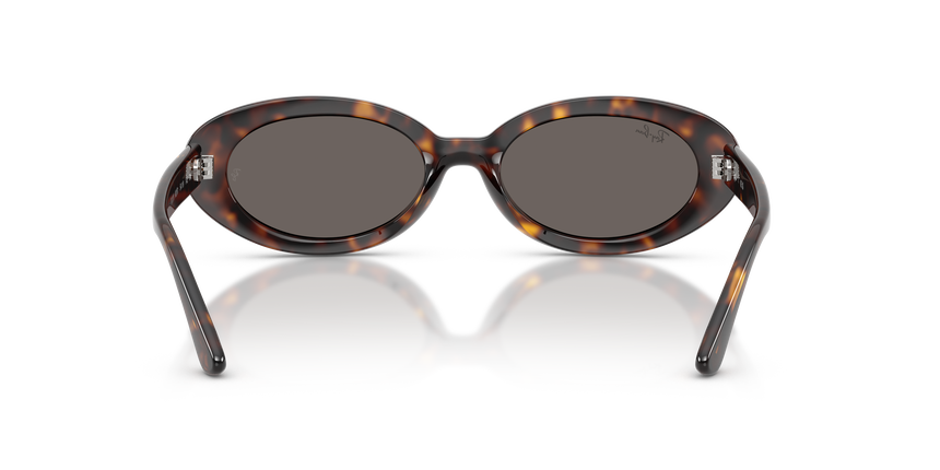 RB-2223 902/B1 HAVANA(DARK GREY 54*19, Havana, hi-res image number 3