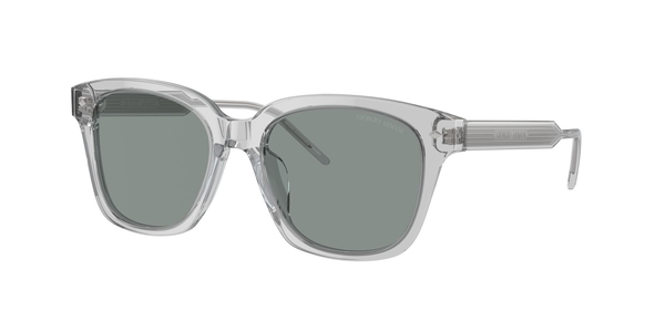 armani-8210u/s 608056 trasparent grey(blue 52*18