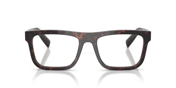 prada- c03v/g 17n1o1 root tortoise 55*19