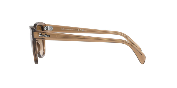 RB-0707S 664051 TRANSP. LIGHT BROWN(CLEAR GRADI BROW 50*21, Marron, hi-res 9