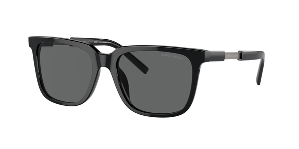 armani-8202u/s 587587 black(dark grey 55*18
