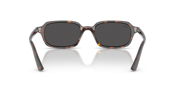 RB-4455 135987 HAVANA(DARK GREY 52*19, Havana, hi-res 3