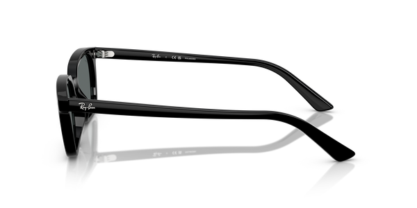 RB-4456 667781 BLACK(DARK GREY POLAR 53*19, Negro, hi-res 2