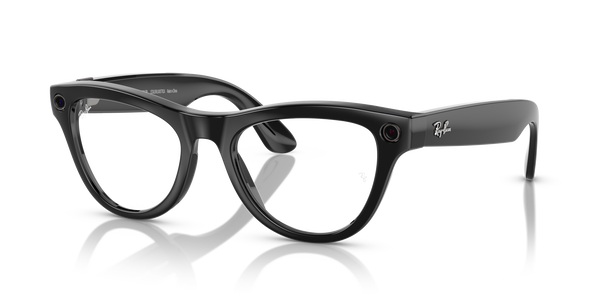 ray-ban meta skyler rw 4010