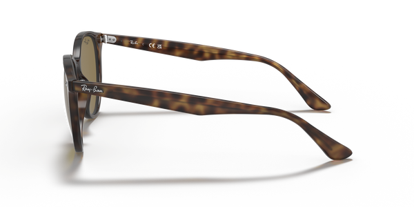 RB-4305 710/73 HAVANA(DARK BROWN 53*19, Havana claro, hi-res 2