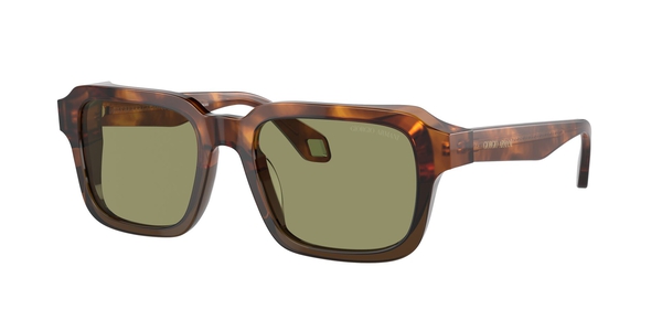 ARMANI-8194U/S 598814 HAVANA RED/OPALINE OLIVE GREEN(GREEN 53*19, Havana, hi-res 0