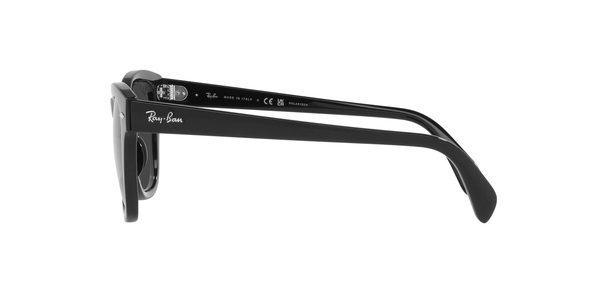 RB-0707S 901/48 BLACK(POLAR BLACK 53*21, Negro, hi-res 2