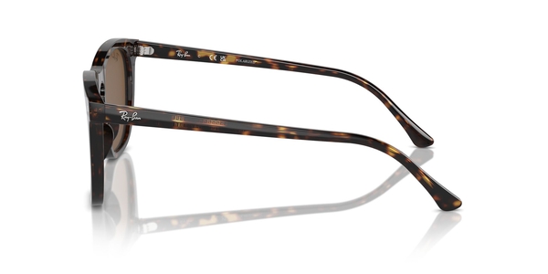 RB-2210 902/57 HAVANA(POLAR BROWN 53*21, Havana, hi-res 2