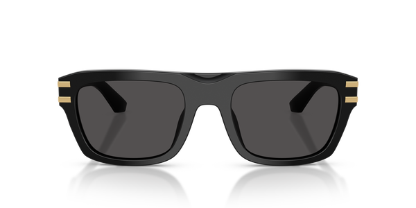 gabbana-4496/s 501/87 black(dark grey 54*21