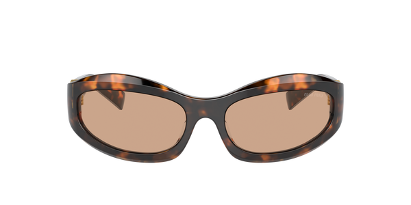 miumiu-14zs/s 14l90h honey havana(dark brown 59*17