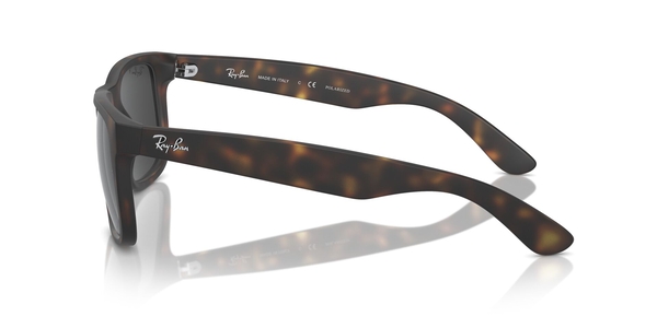 RB-4165 865/87 RUBBER HAVANA(DARK GREY POLAR 55*16, Havana, hi-res 2
