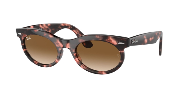 RB-2242 133451 PINK HAVANA(CLEAR GRADIENT BROWN 53*22, Havana rosa, hi-res 0