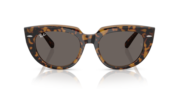 RB-2286 1292B1 HAVANA ON TRANSPARENT BROWN(DARK GREY 49*20, Havana | Marrón transparente, hi-res 1