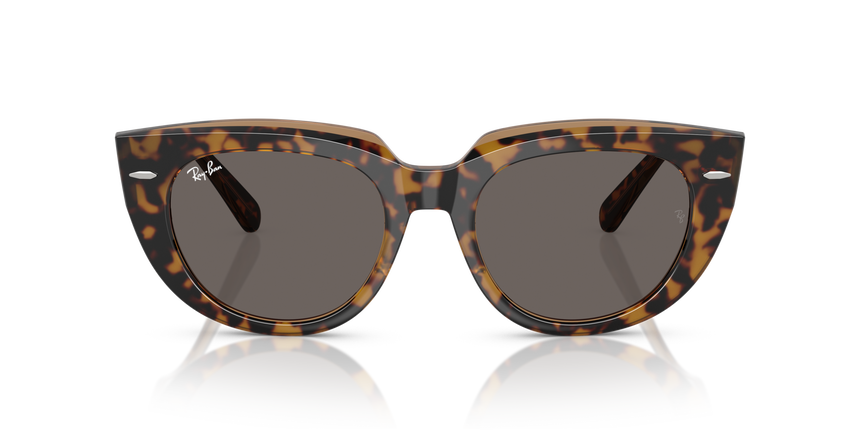 RB-2286 1292B1 HAVANA ON TRANSPARENT BROWN(DARK GREY 49*20, Havana | Marrón transparente, hi-res image number 1