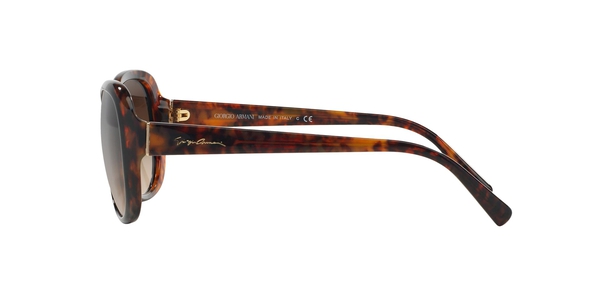 ARMANI-8047/S 504913*3N HABANA NEGRO 56*16, Havana | Negro, hi-res 2