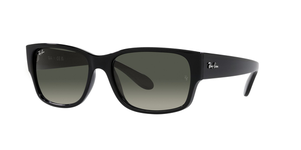 ray-ban rb 4388