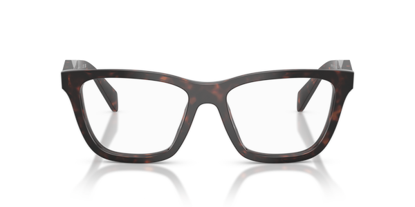 prada- c10v/g 17n1o1 root tortoise 54*17