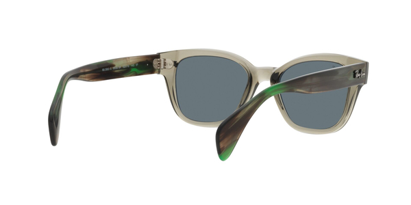 RAY-BAN RB 0880S 66353R, , hi-res 5