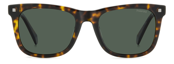 POLAROID-4167/S/X/S 086*UC HAVANA(GREEN POLARIZED 53*19, Havana, hi-res 1