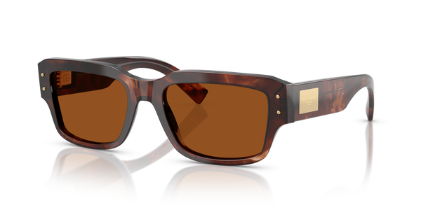 gabbana-4483/s 322273 dark red havana(dark brown 54*19