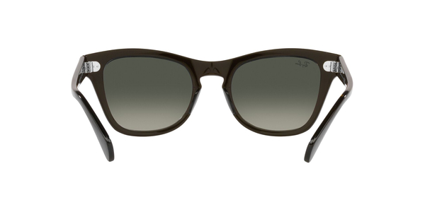 RB-0707S 664271 TRANSPARENT OLIVE GREEN(GREY GRADIENT 50*21, Negro, hi-res 6