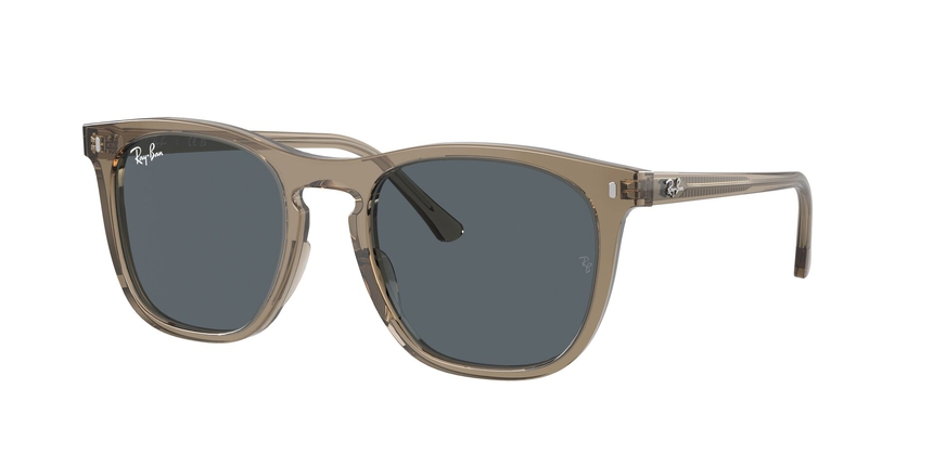 RB-2210 6765R5 TRANSPARENT BROWN(BLUE 53*21, Marrón transparente, hi-res image number 0